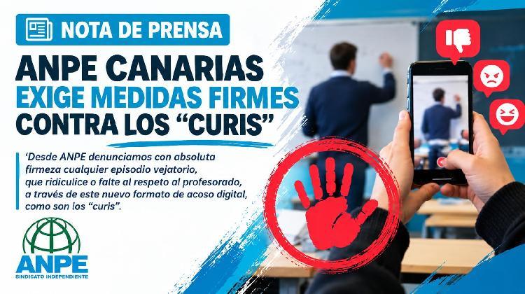 cartel-anpe-canarias-curis